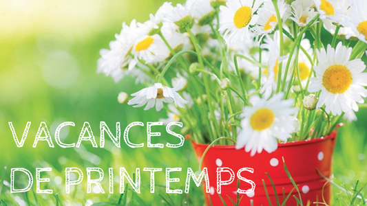 You are currently viewing Planning Jeunesse Vacances de Printemps